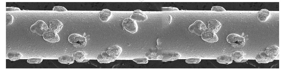 今年会 | 官方网站